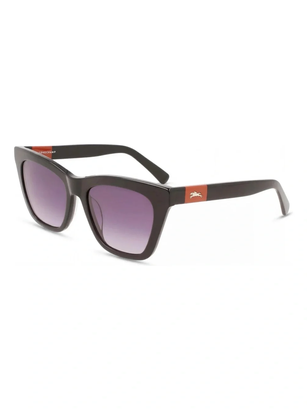 Longchamp excellent come